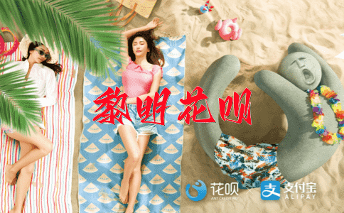 一相情愿，一动不动花呗